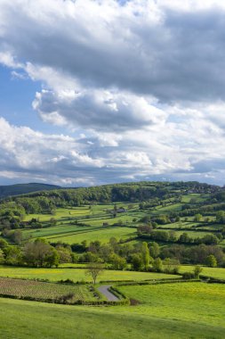 Fransa 'nın Bourgogne Franche Comte şehrinde yeşil tarlaları, ağaçları ve bulutlu gökyüzü olan güzel bir manzara.