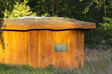 Dubnany, Çek Cumhuriyeti 'nde öğleden sonra güneşinde parlayan küçük ahşap kulübe.