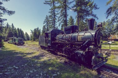 Slovakya, Pribylina 'daki Liptov Köyü Müzesi' nde dar bir demiryolu üzerinde duran klasik buhar treni ve mazot vagonu.