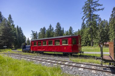 Slovakya 'nın Pribylina kentindeki Liptov Köyü Müzesi' nde rayların üzerinde duran kırmızı dar göstergeli tren vagonu yaz güneşli bir günde