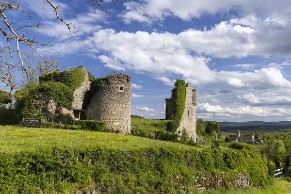 Fransa 'nın Bourgogne Franche Comte şehrinde yeşil bir tepenin üzerinde duran Sigy le Chatel Kalesi harabeleri