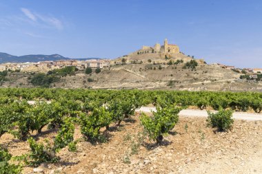 Arka planda mavi gökyüzünün altında ortaçağ köyü San Vicente de la Sonsierra ile büyüyen güzel üzüm bağları