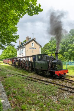 Fransa 'da bir yaz günü turistlerle Bligny sur Ouche istasyonundan ayrılan eski buhar treni.