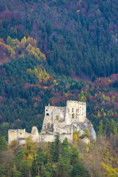 Slovakya, Sulov Kayaları 'ndaki renkli sonbahar ormanlarına bakan ortaçağ şatosunun kalıntıları.