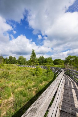 Lutowiska, Bieszczady County, Podkarpackie Voyvodeship, Polonya 'da güneşli bir günde güneşli bir gökyüzü ile bataklıklardan geçen tahta turist yolu.
