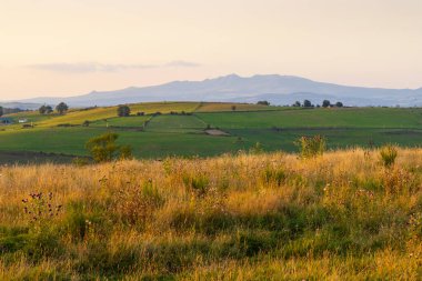 Güneş batarken Auvergne, Fransa 'da arka planda dağların silueti olan altın çayır ve yeşil tarlaların büyüleyici manzarası.