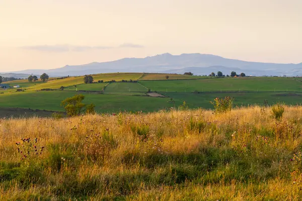 Güneş batarken Auvergne, Fransa 'da arka planda dağların silueti olan altın çayır ve yeşil tarlaların büyüleyici manzarası.