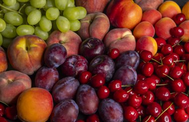 Taze şeftaliler, erikler, kirazlar ve üzümler renkli bir yaz meyvesi çeşitliliği yaratıyor.