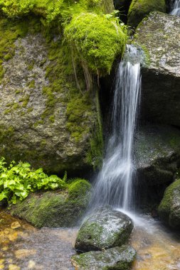 Çek Cumhuriyeti 'nin Jizera Dağları' ndaki yosunlu kayaların üzerinden akan küçük şelale huzurlu bir atmosfer yaratıyor.
