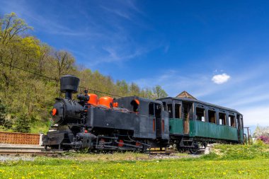 Viglas, Slovakya 'da dar ölçü demiryolu üzerinde duran yolcu vagonlu eski buhar lokomotifi