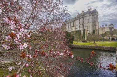 Fransa 'nın Val de Loire bölgesinde bahar mevsimi boyunca ön planda açan pembe çiçekli Chateau de Chateaudun manzarası