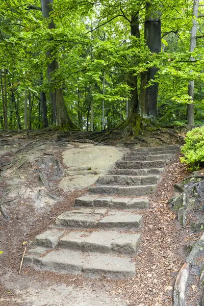 Çek Cumhuriyeti 'nin Hruba Skala kentindeki sakin bir ormandan yükselen taş merdivenler keşif ve sükuneti davet ediyor.