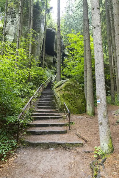 Çekoslovakya 'nın Hruba Skala kentindeki yosun kaplı kaya ve kaya oluşumlarına doğru yükselen taş merdiven.