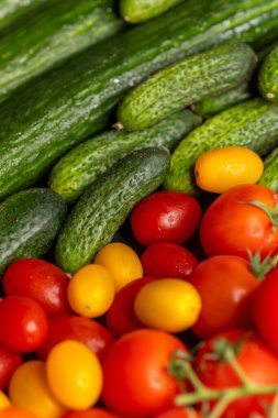 Taze toplanmış salatalıklar ve olgun kırmızı ve sarı domatesler renkli ve sağlıklı bir hayat yaratıyor.