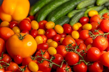 Salatalıklar, farklı renk ve boyutlarda domatesler ve sarı dolma biber canlı ve sağlıklı bir görüntü yaratır.