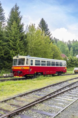 Korenov istasyonunda yeşil ağaçlarla çevrili kırmızı ve beyaz tren bekliyor.