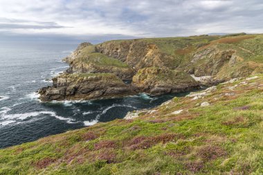 Heather ve çimenler Fransa 'nın Brittany kentindeki Pointe de Kastel Koz kayalıklarını kaplıyorlar.