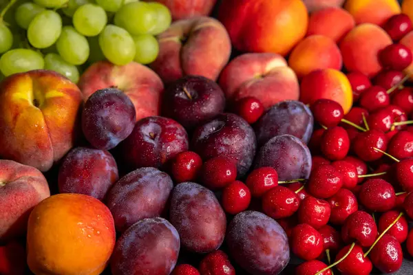 Olgun yaz meyveleri şeftali, erik, kiraz ve üzüm gibi renkli ve lezzetli bir hayat oluşturur.
