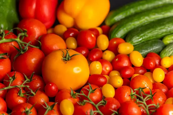 Farklı boyutlarda ve renklerde domatesler, biberler ve salatalıklar dahil taze sebzelerin renkli karışımı.