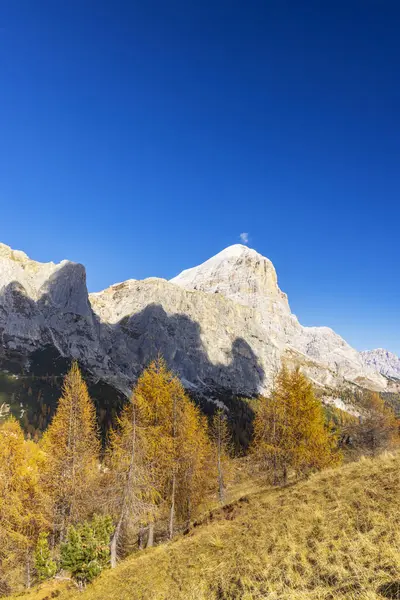 İtalyan Dolomitlerinde güneşli bir sonbahar gününde Tofana di Rozes 'in altında parlayan altın tarlalar.