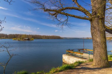 Sobeslav, Çek Cumhuriyeti yakınlarındaki Bechynsky Pond 'da sakin bir bahar sahnesi, ahşap bir kulübesi ve bankları olan küçük bir adaya ev sahipliği yapıyor.