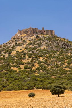 Calatrava la Nueva Şatosu, Aldea del Rey, Ciudad Real, Kastilya La Mancha, İspanya 'da bir tepenin üstünde duran bir ortaçağ kalesi.