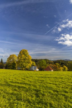 Mavi gökyüzünün altında ağaçların ve evlerin olduğu görkemli kırsal manzara