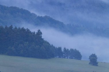 Şafak vakti sisle kaplanmış ağaçlar ve tepeler sakin ve atmosferik bir manzara yaratıyor.
