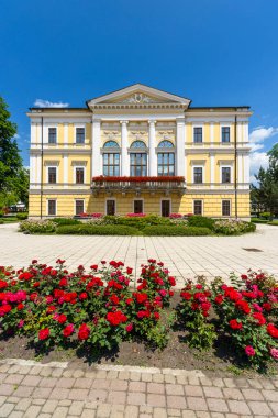 Slovakya 'nın Spisska Nova Ves kentindeki eyalet hükümet binasının önünde güneşli bir yaz gününde açan kırmızı güller.