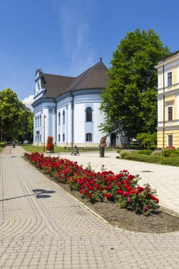 Güneşli bir yaz gününde Spisska Nova Ves, Slovakya 'daki Evanjelik Kilisesi' nin yanındaki parkta açan kırmızı güller.