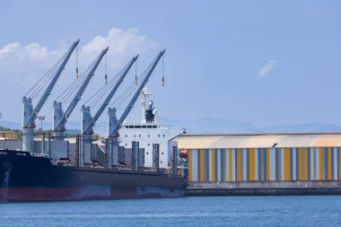 Aviles limanında büyük bir kargo gemisi boşaltılıyor.