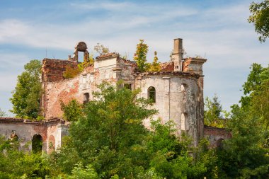 Büyümüş bir sarayın kalıntıları doğanın kucaklamasına yavaşça yenik düşüyor, zamanın akışını ve doğanın esnekliğini gösteriyor.