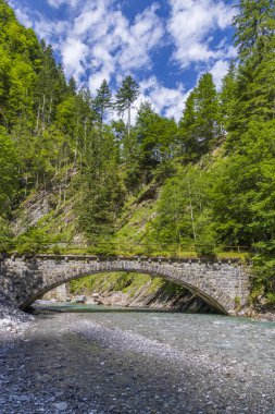 Avusturya, Vorarlberg, Bregenzerwald 'daki yemyeşil bir ormandan akan temiz bir nehrin üzerindeki eski bir taş köprünün manzarası.
