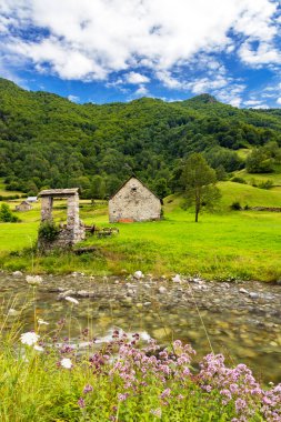 Yeşil çayırlar boyunca akan kır çiçekleri eski taş binalar ve arka plandaki orman dağları Ustou, Ariege, Occitanie, Fransa
