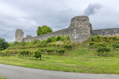 Bellocq, Nouvelle Aquitaine, Fransa 'daki üzüm bağına bakan bir tepenin üzerinde duran eski taş duvarlar ve ortaçağ şatosunun kuleleri.