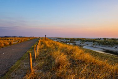 Kuzey Hollanda 'da, Schoorl yakınlarında Hondsbosscheweg yolunun yanında altın saat güneşli kum tepecikleri parlıyor.