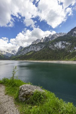 Arkaplanda Dachstein Dağları ile Gosausee Gölü 'nün berrak sularını yansıtan güzel dağlık arazi.