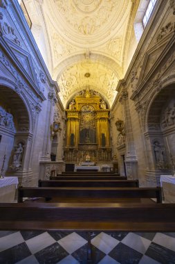 İspanya 'nın Endülüs kentindeki UNESCO Dünya Mirası Alanı Baeza Katedrali' nin içinde altın sunağa bakan boş ahşap sıralar ve kubbeli tavan.