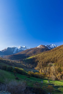 Val d 'Oronaye, Alpes de Haute Provence, Fransa' da göz kamaştırıcı dağ manzaraları, karlı dağlar, yemyeşil vadiler ve açık mavi gökyüzü.