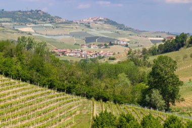 Bağların manzarası ve Langhe bölgesindeki Novello köyü, Piedmont, İtalya, ünlü bir şarap üretim bölgesi.