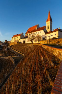 Aziz Nicholas Kilisesi ve bağlar Znojmo, Çek Cumhuriyeti 'nde gün batımının altında aydınlanıyor
