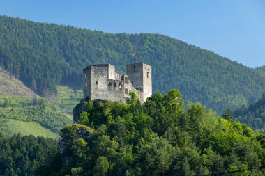 Slovakya 'da güneşli bir yaz gününde yemyeşil ormanın üzerinde yükselen Strecno Kalesi kalıntıları