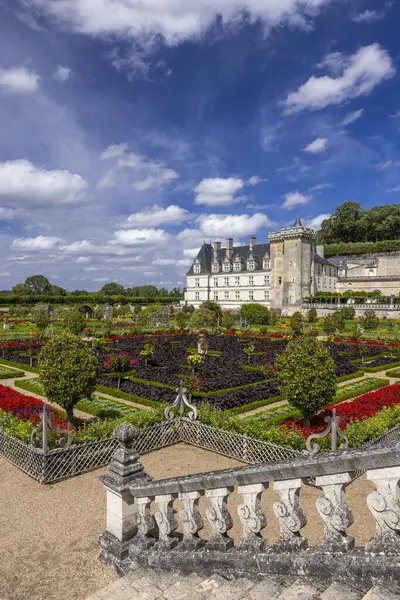 Renkli çiçekler, çalılar, geometrik desenler ve mavi gökyüzü ile süslü Chateau de Villandry bahçesi