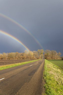 Güzel çift gökkuşağı asfalt yolda beliriyor tarlaları ve ağaçları aşarak kırsalda