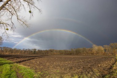 Güzel gökkuşağı, arka planda kara bulutlar ve çıplak ağaçlarla yeni sürülmüş bir tarlanın üzerinde beliriyor.