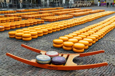 Hollanda, Alkmaar 'da geleneksel peynir pazarı