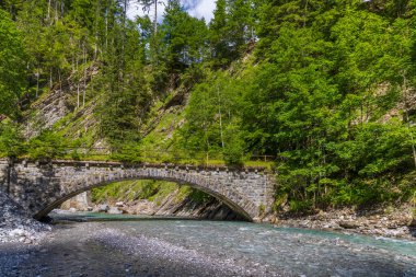 Avusturya, Vorarlberg, Bregenzerwald 'daki yemyeşil bir ormandan akan temiz bir nehrin üzerindeki eski bir taş köprünün manzarası.