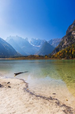 Dobbiaco, Güney Tyrol, İtalya 'da bulunan Lago di Dobbiaco' da Dolomitler 'in dağlarını ve sonbahar yapraklarını yansıtan kristal berrak su