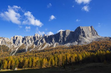 Arka planda sarı tarla ormanı ve görkemli Dolomites dağları olan manzaralı sonbahar manzarası, Veneto, İtalya