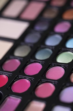 Makyaj paleti göz farı ve ruj tonlarıyla profesyonel makyaj sanatçıları için mükemmel.